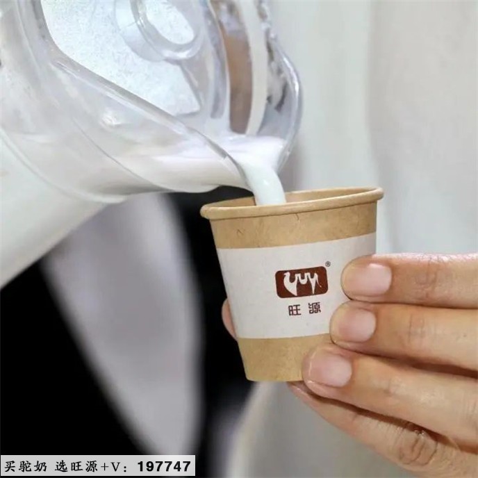 荣耀亮相中国第十三届奶业大会,获评2022年“优秀乳品加工企业”!