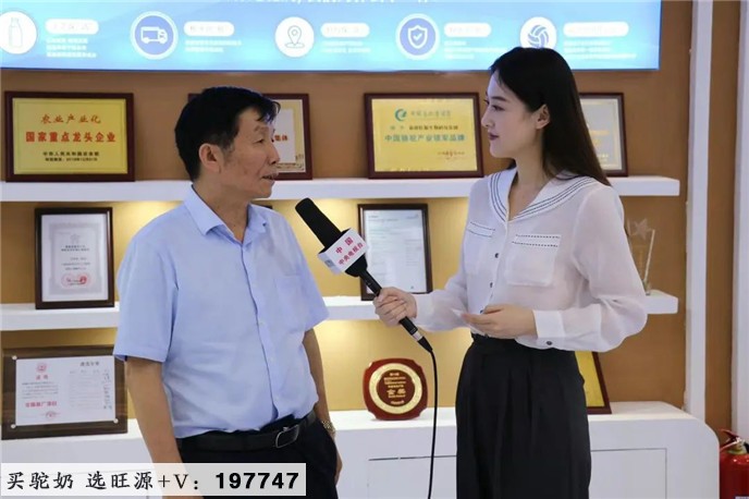 荣耀亮相中国第十三届奶业大会,获评2022年“优秀乳品加工企业”!
