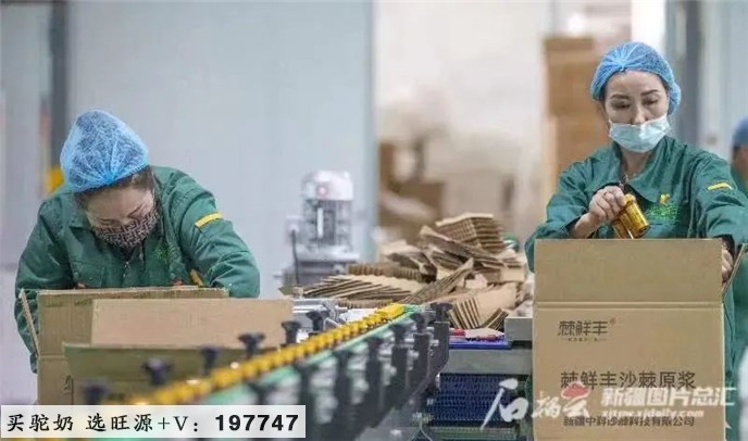 凭实力出圈!一批“疆”字号深加工农产品走向全国市场
