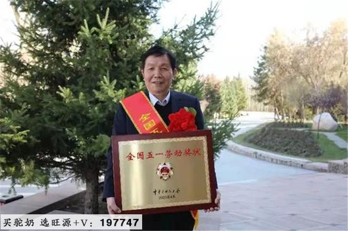 永远做牧民群众的贴心人——记自治区人大代表、新疆旺源生物科技集团董事长陈钢粮