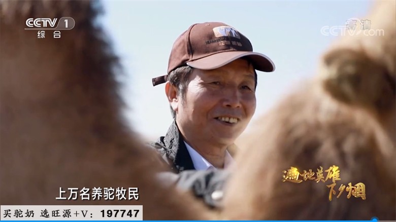 旺源驼奶 | 陈钢粮董事长荣获“新疆农业风云人物”称号!