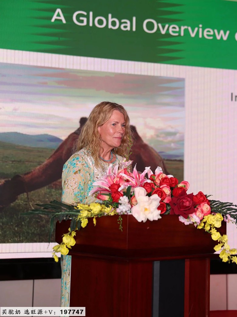 2024“国际驼科动物年”中国系列活动暨旺源集团17周年品牌年度大会成功举办!