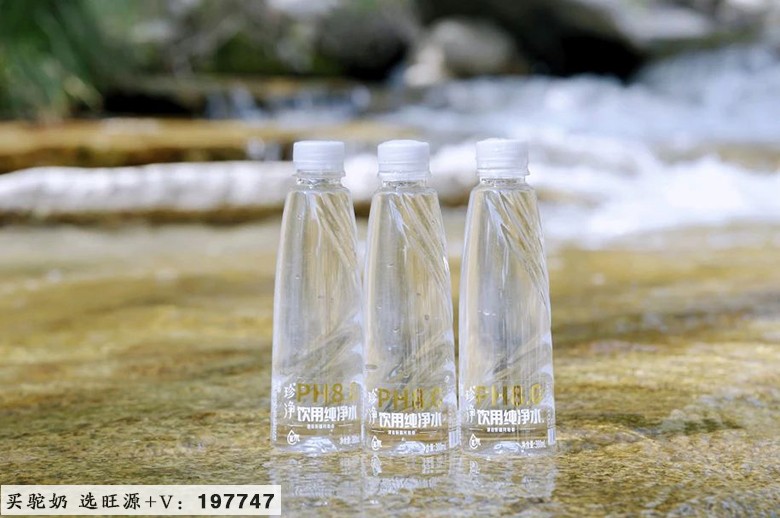 2024“国际驼科动物年”中国系列活动暨旺源集团17周年品牌年度大会成功举办!