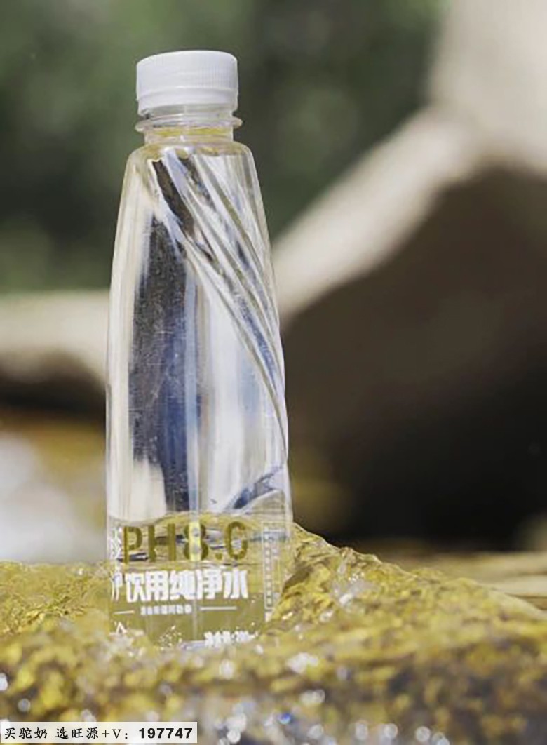 2024“国际驼科动物年”中国系列活动暨旺源集团17周年品牌年度大会成功举办!