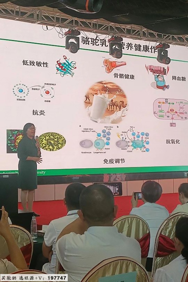 2024“国际驼科动物年”中国系列活动暨旺源集团17周年品牌年度大会成功举办!