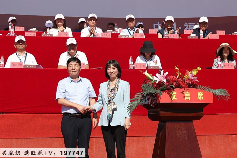 2024“国际驼科动物年”中国系列活动·福海站(首站)暨沙漠英雄助力乡村振兴成果汇报会盛大举行!