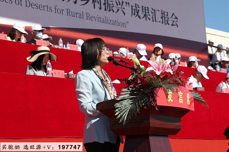 2024“国际驼科动物年”中国系列活动·福海站(首站)暨沙漠英雄助力乡村振兴成果汇报会盛大举行!