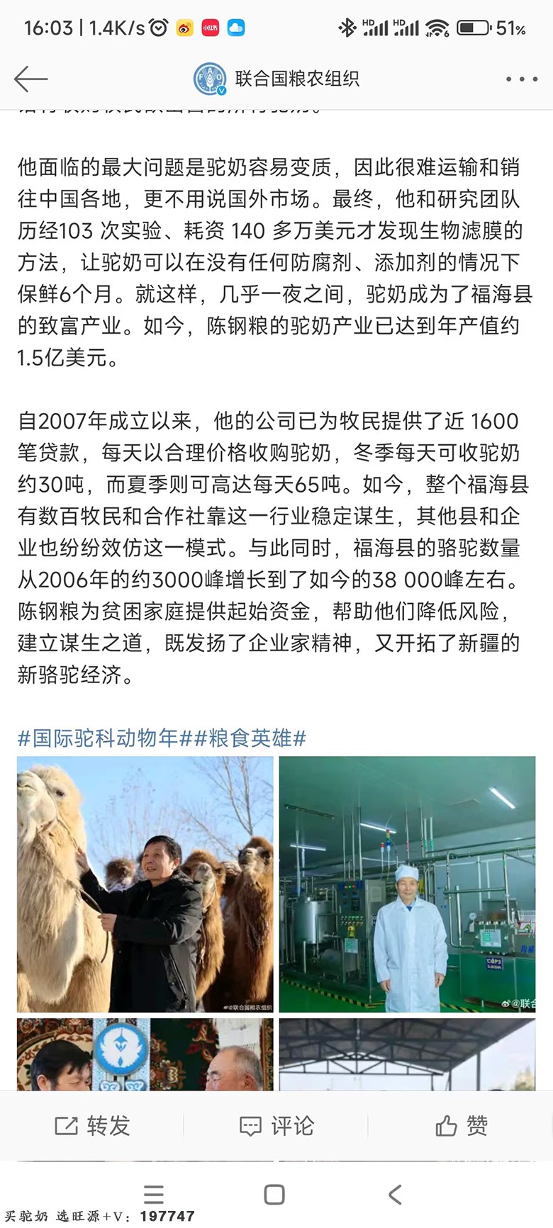 热烈祝贺旺源集团董事长陈钢粮先生荣获由联合国粮农组织授是的“国际驼科动物年”粮食英雄称号