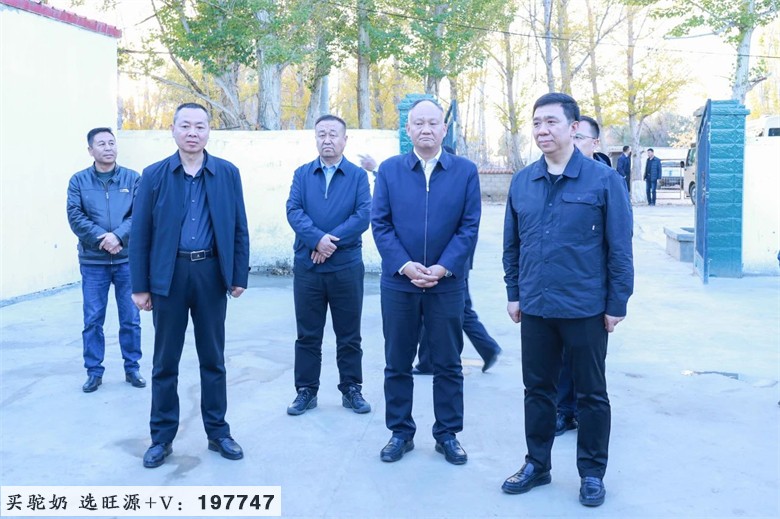 内蒙古阿拉善盟一行走进旺源集团调研