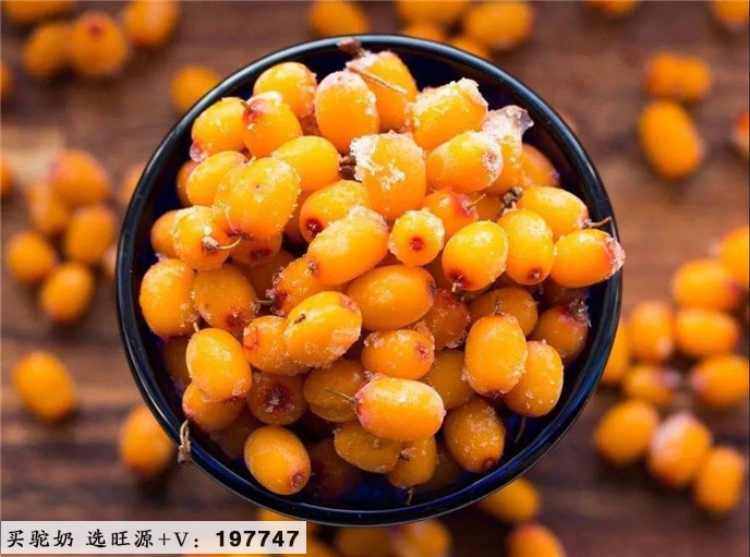 你了解沙棘和糖尿病的关系吗？