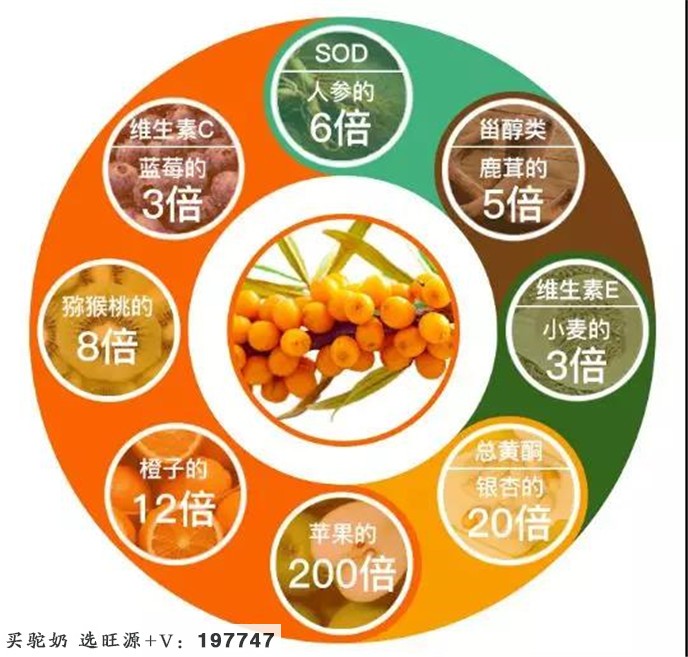 你了解沙棘和糖尿病的关系吗？