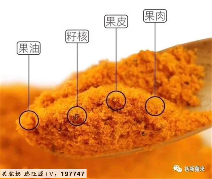 你了解沙棘和糖尿病的关系吗？