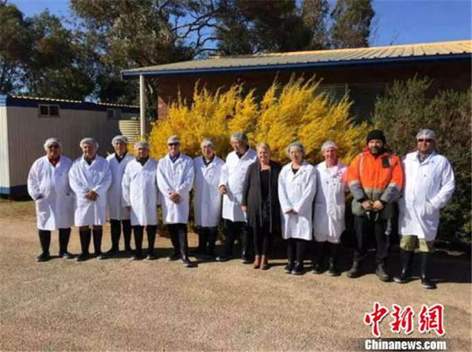 旺源骆驼奶绵阳总代理为您提供：中新网丨新疆驼奶产品“进军”澳洲市场
