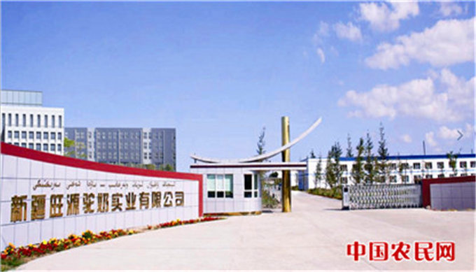 旺源骆驼奶绵阳总代理为您提供：新疆经济报丨陈钢粮：今年要帮助1000户农牧民脱贫