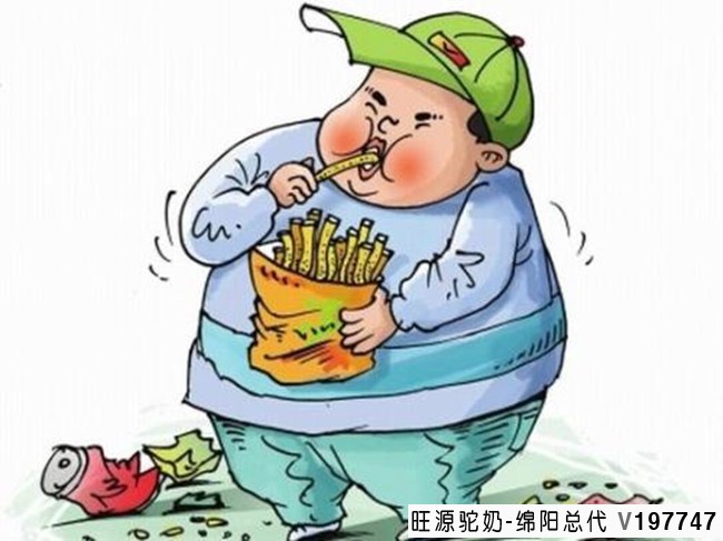 旺源骆驼奶绵阳总代理为您提供：奶中臻品骆驼奶——脂肪肝病人的救星