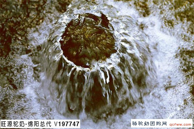 旺源骆驼奶绵阳总代理为您提供：封住“涌泉穴”，能够自动打通十二经络！