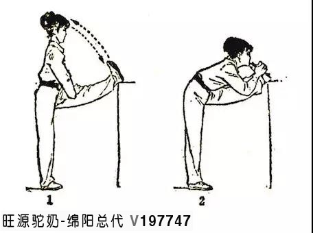 旺源骆驼奶绵阳总代理为您提供：压腿也能排除你体内的浊气和湿气