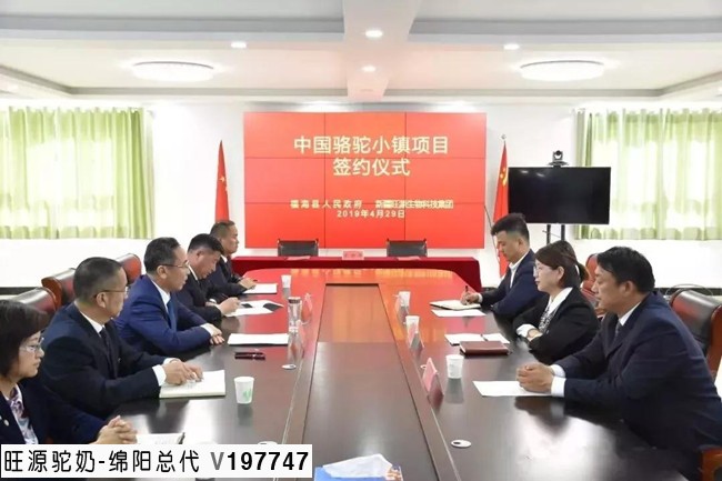 旺源骆驼奶绵阳总代理为您提供：福海县县政府与旺源集团共同举办中国骆驼小镇签约仪式！