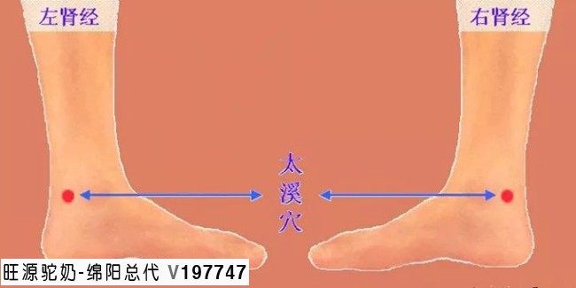 旺源骆驼奶绵阳总代理为您提供：肾气足，百病除，这些方法可以补肾