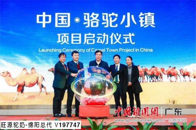 旺源骆驼奶绵阳总代理为您提供：新华网丨第六届中国骆驼产业发展大会在广州举办