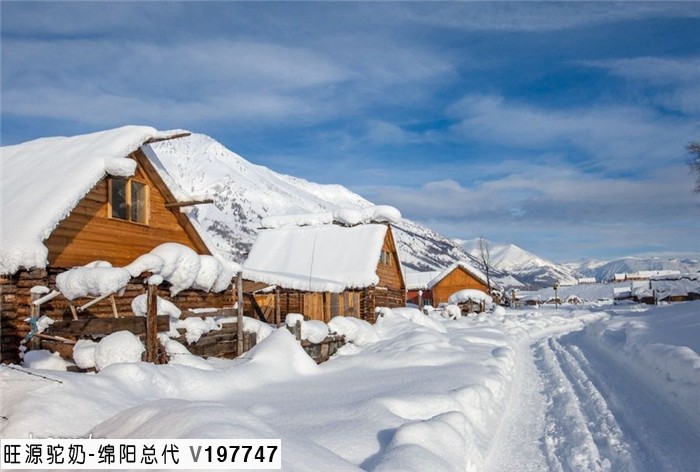 旺源骆驼奶绵阳总代理为您提供：新疆阿勒泰美景----冬日里的禾木村