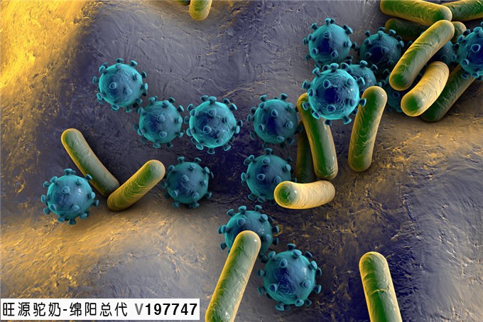 旺源骆驼奶绵阳总代理为您提供：驼乳具有杀菌和抑菌功效—乳铁蛋白