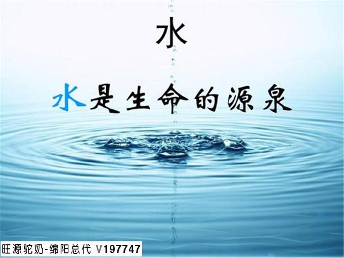 旺源骆驼奶绵阳总代理为您提供：什么是驼峰 看看驼峰的营养价值