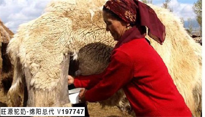 旺源骆驼奶绵阳总代理为您提供：产业扶贫如何扶到百姓心坎上