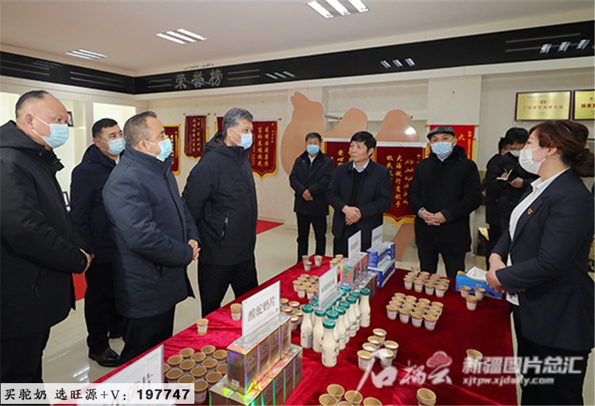 旺源骆驼奶绵阳总代理为您提供：马兴瑞在阿勒泰地区调研时强调 坚持绿色发展优势 走生态美产业兴人民富的