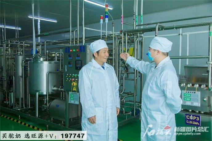 旺源骆驼奶绵阳总代理为您提供：阿勒泰 陈钢粮：“三零”帮扶“驮”着牧民奔富路