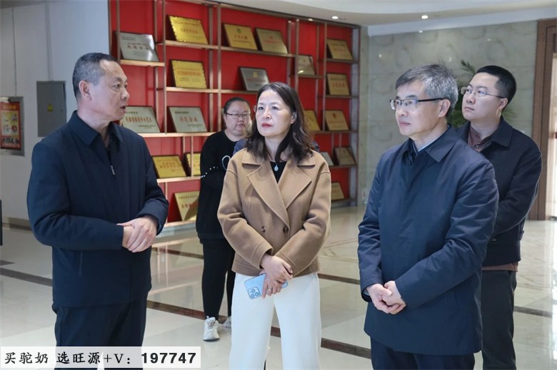 自治区人民政府研究